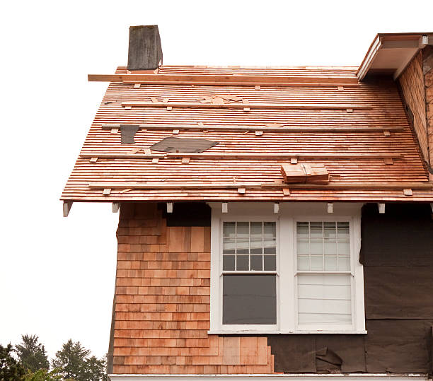 Affordable Siding Repair and Maintenance Services in Jackpot, NV